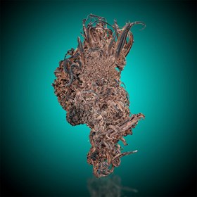 Silver-Schlema | Erzgebirge | Saxony | Germany